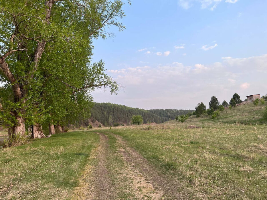 д. Катышка, ул. Заречная, 9 (городской округ Алапаевский) - фото земельного участка (6)