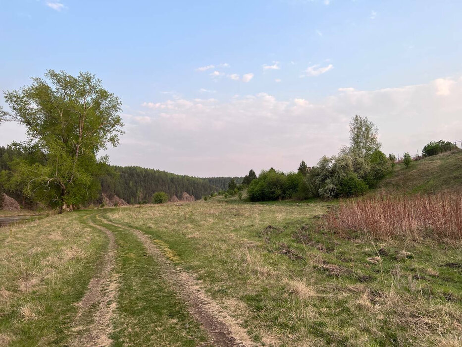 д. Катышка, ул. Заречная, 9 (городской округ Алапаевский) - фото земельного участка (8)