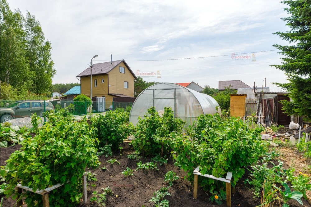 г. Березовский, Коллективный сад 89 Нива (городской округ Березовский) - фото сада (6)