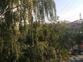 Продажа квартиры: Екатеринбург, ул. Старых Большевиков, 86 (Эльмаш) - Фото 5