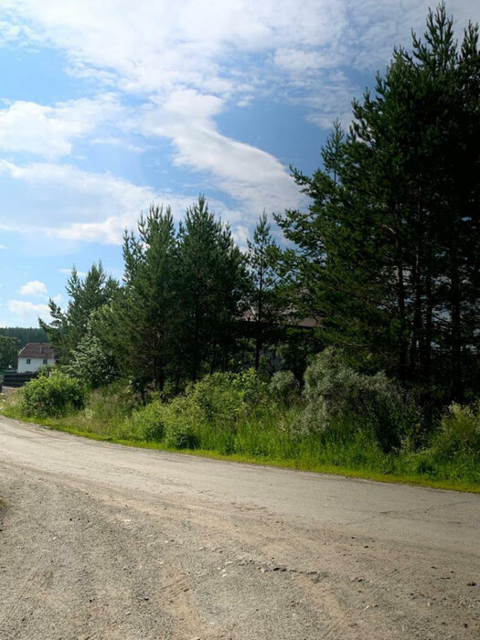 д. Токарево, Тихое берег, ул. Ворошиловская (городской округ Сысертский) - фото сада (1)