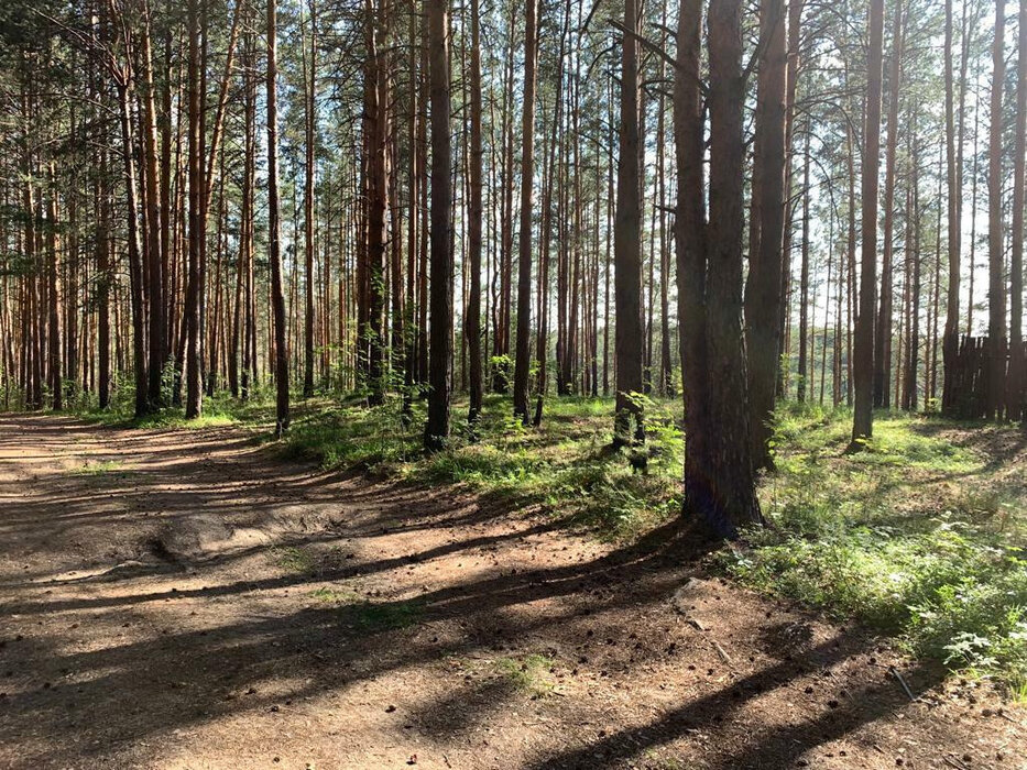 д. Токарево, Тихое берег, ул. Ворошиловская (городской округ Сысертский) - фото сада (2)