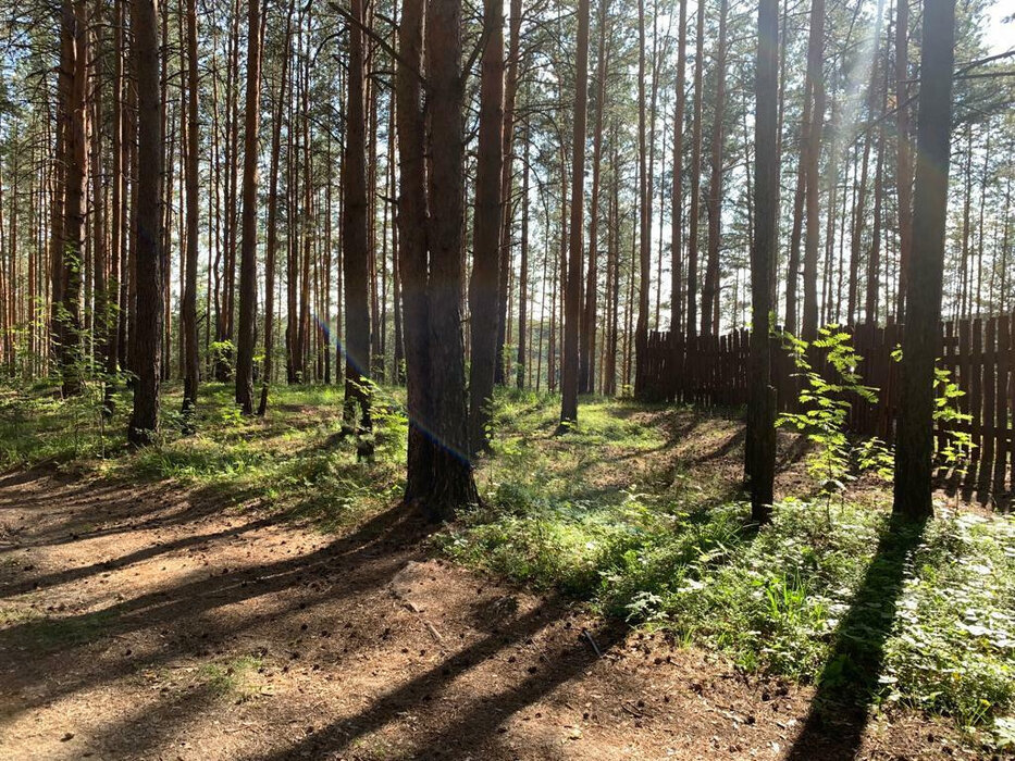 д. Токарево, Тихое берег, ул. Ворошиловская (городской округ Сысертский) - фото сада (3)