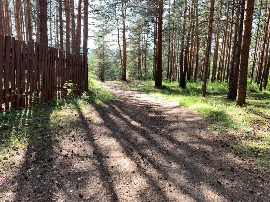 д. Токарево, Тихое берег, ул. Ворошиловская (городской округ Сысертский) - фото сада (4)