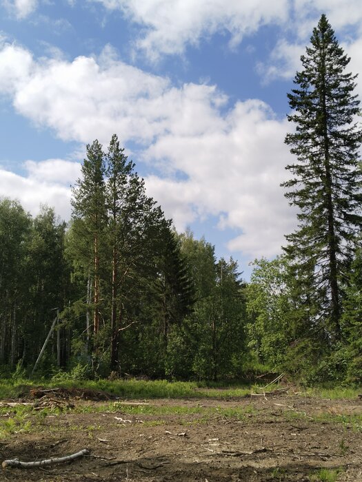 п. Ледянка, ул. Альпийская, 2 (городской округ Ревда) - фото земельного участка (6)