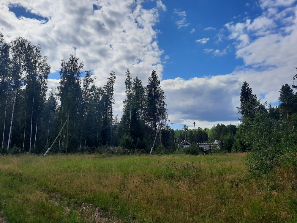 п. Ледянка, ул. Ромашковая, 2Б (городской округ Ревда) - фото земельного участка (3)