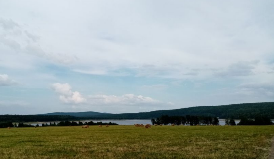 п. Ледянка, ул. Ромашковая, 2Б (городской округ Ревда) - фото земельного участка (4)