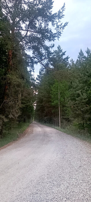 г. Березовский, СНТ Станица (городской округ Березовский) - фото сада (2)