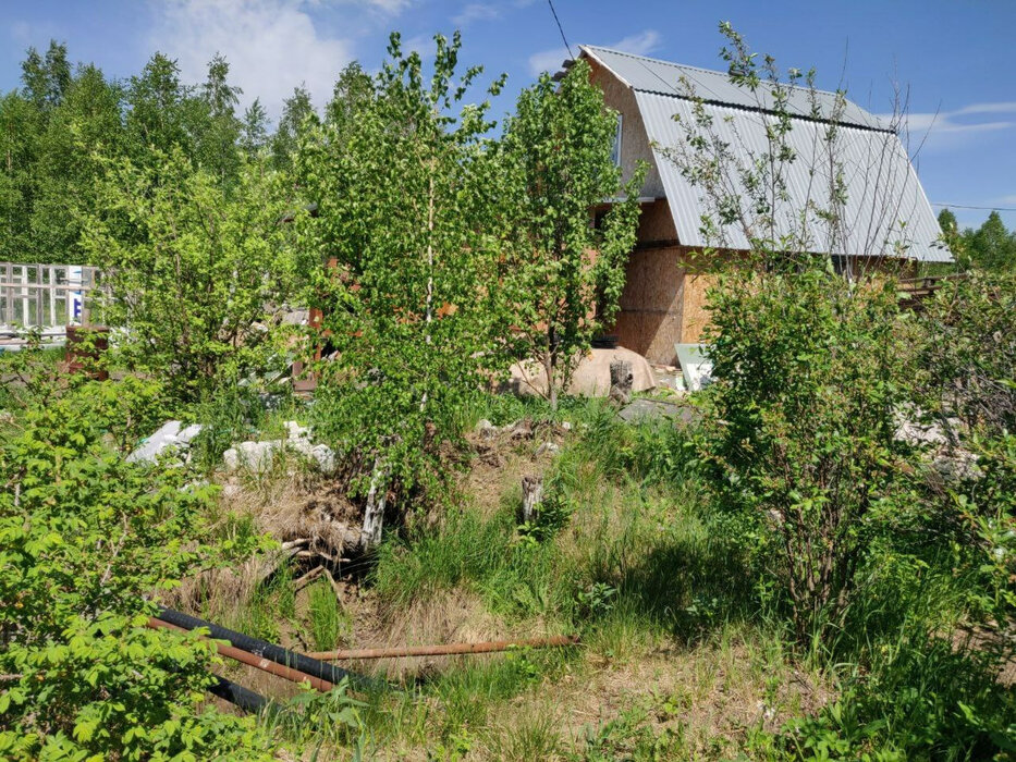 с. Курганово, СНТ Берёзовая Роща, уч. 46 (городской округ Полевской) - фото сада (1)