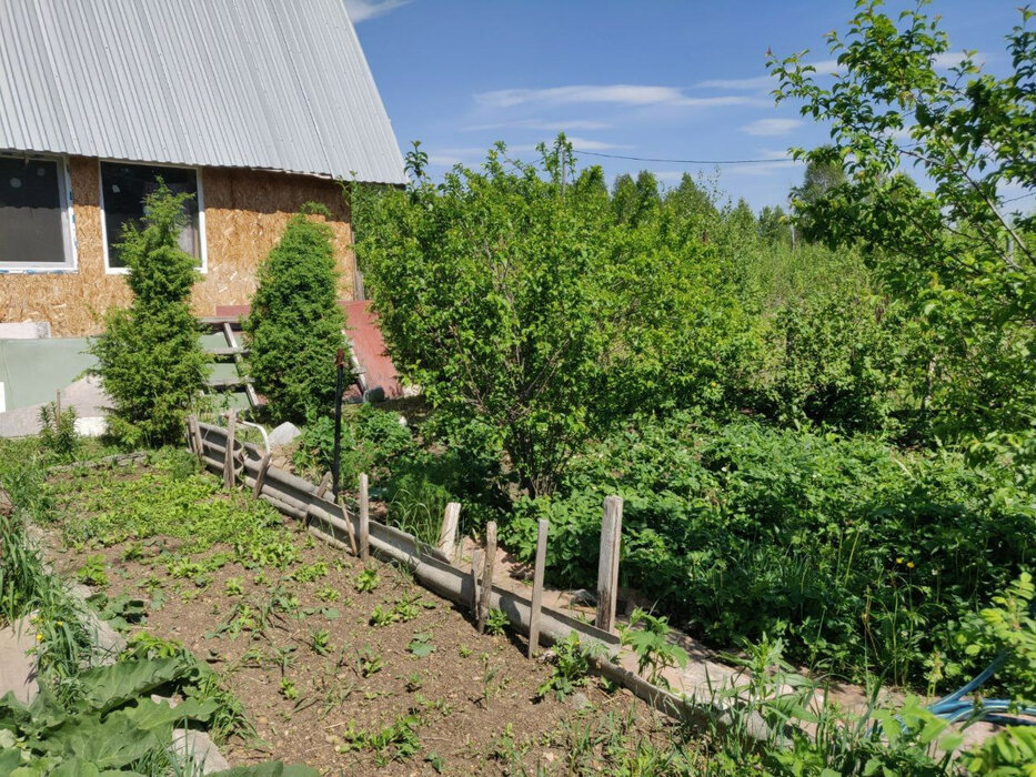 с. Курганово, СНТ Берёзовая Роща, уч. 46 (городской округ Полевской) - фото сада (3)