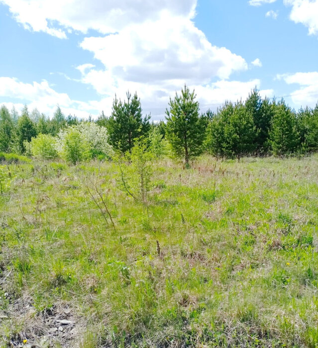 п. Сысерть, ул. южная окраина (городской округ Екатеринбург) - фото земельного участка (2)