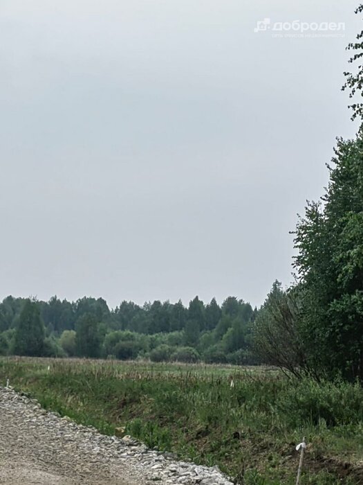 п. Залесье, ул. Микрорайон Новое  (городской округ Верхняя Пышма) - фото земельного участка (2)