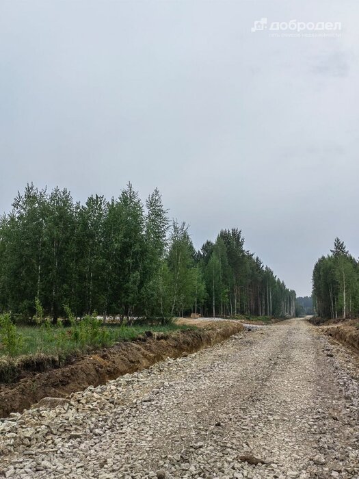 п. Залесье, ул. Микрорайон Новое  (городской округ Верхняя Пышма) - фото земельного участка (8)