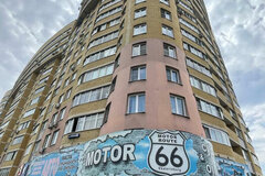 Екатеринбург, ул. Крауля, 44 (ВИЗ) - фото квартиры