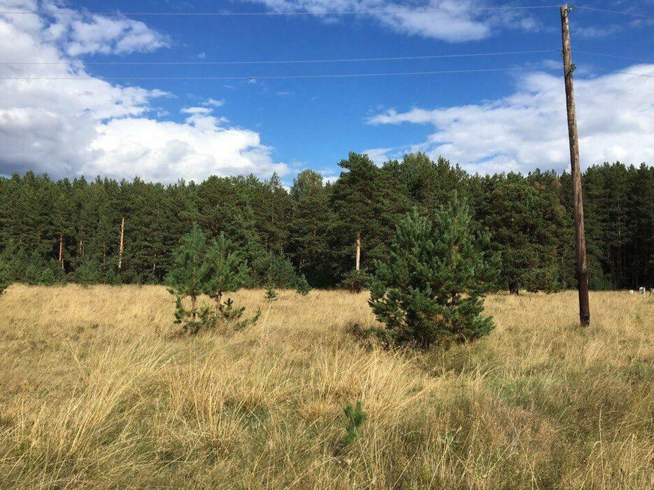 п. Гагарский, ул. 5-ая Парковая, 11 (городской округ Белоярский) - фото земельного участка (1)