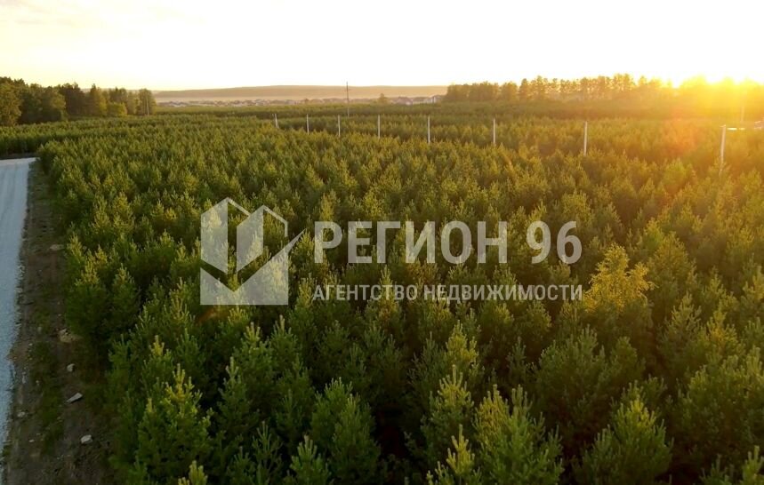 к.п. Зеленые кварталы, ул. Калиновая,   (городской округ Белоярский, п. Рассоха) - фото коттеджа (8)