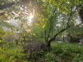 Продажа дома: Екатеринбург, ул. Виноградный, 8 (Шарташ) - Фото 8