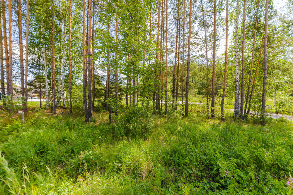 к.п. Мурзинка, ул. Малахитовая, 19 (городской округ Среднеуральск) - фото земельного участка (8)