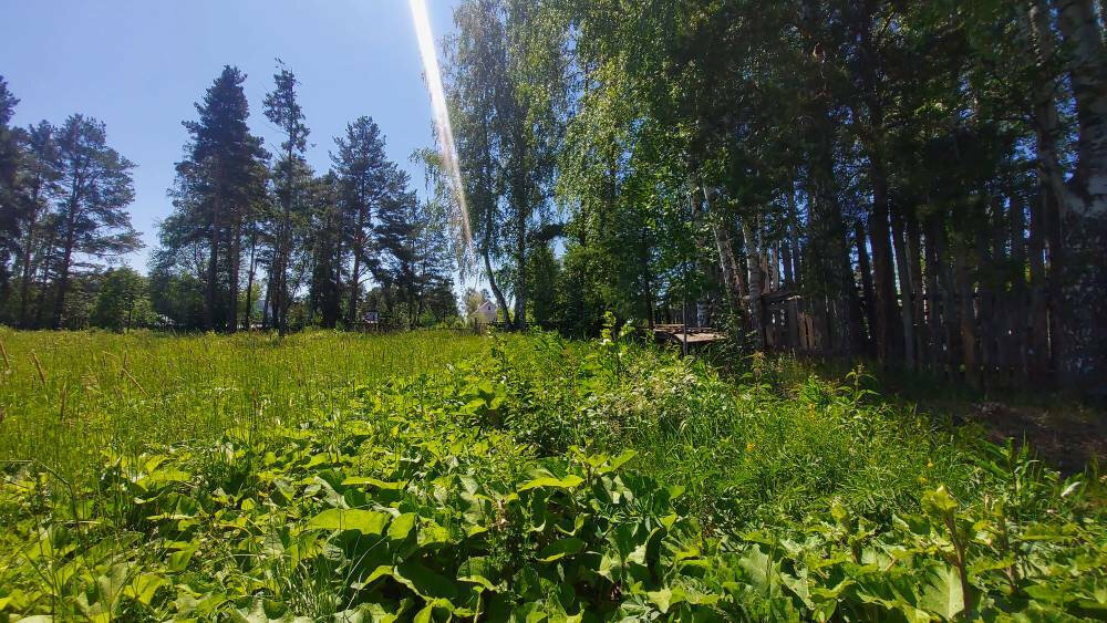 п. Ледянка, ул. Виноградная (городской округ Ревда) - фото земельного участка (2)