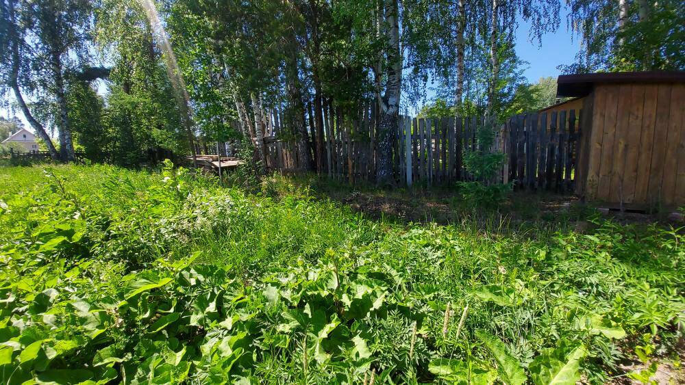 п. Ледянка, ул. Виноградная (городской округ Ревда) - фото земельного участка (3)
