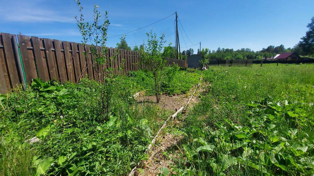 п. Ледянка, ул. Виноградная (городской округ Ревда) - фото земельного участка (4)