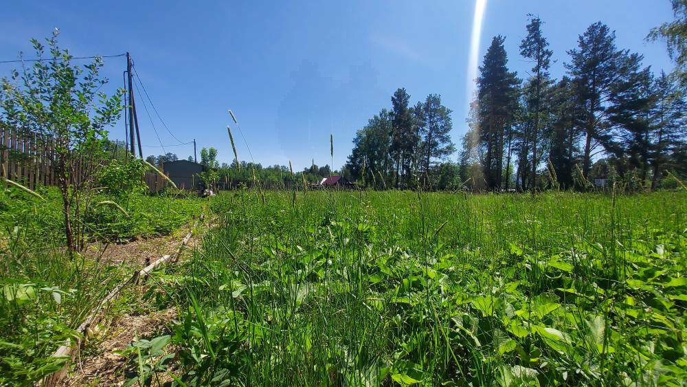 п. Ледянка, ул. Виноградная (городской округ Ревда) - фото земельного участка (5)