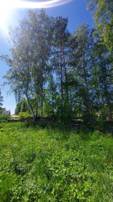 п. Ледянка, ул. Виноградная (городской округ Ревда) - фото земельного участка (7)