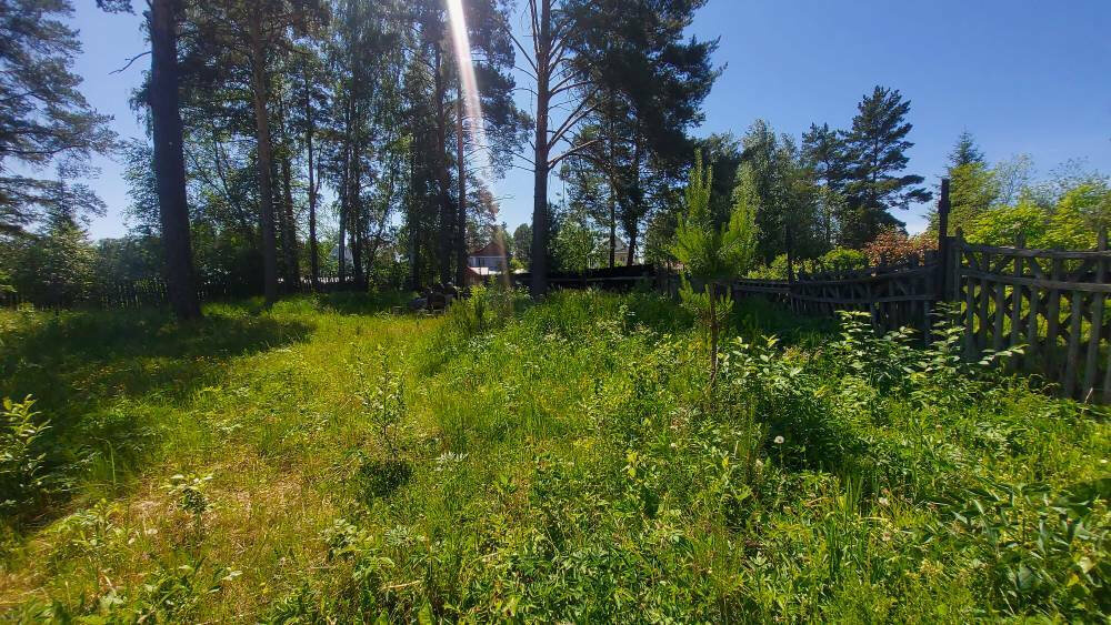п. Ледянка, ул. Виноградная (городской округ Ревда) - фото земельного участка (8)