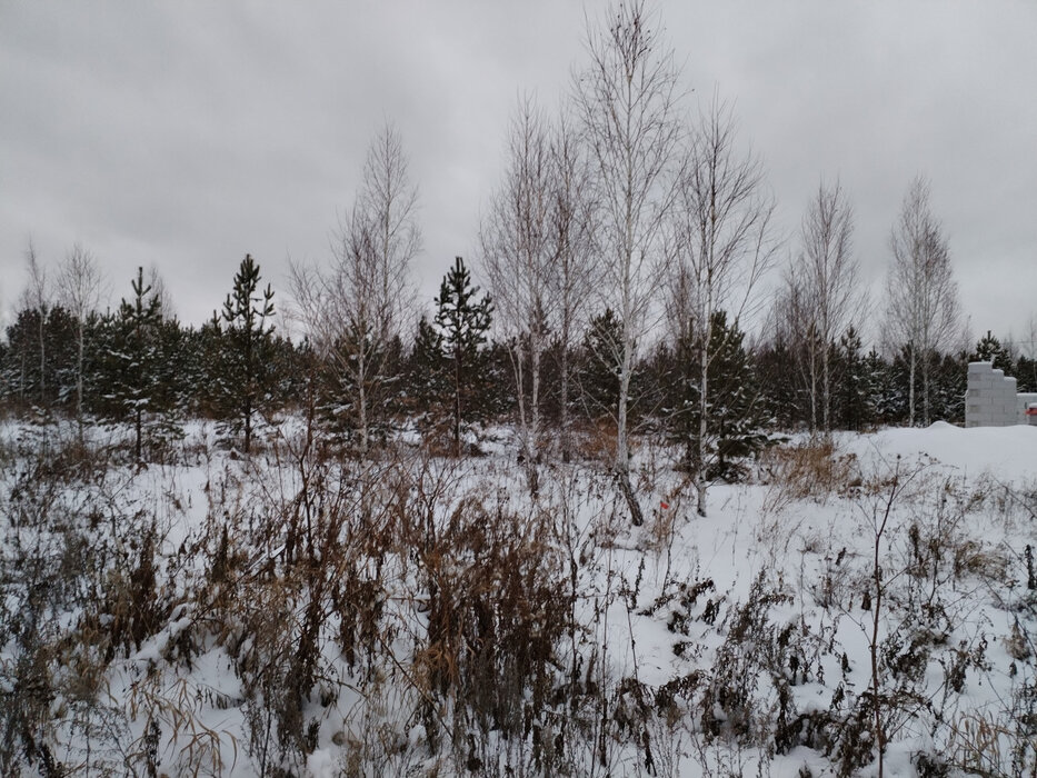 п. Арамиль, ул. Зелёные Просторы (городской округ Арамильский) - фото земельного участка (2)