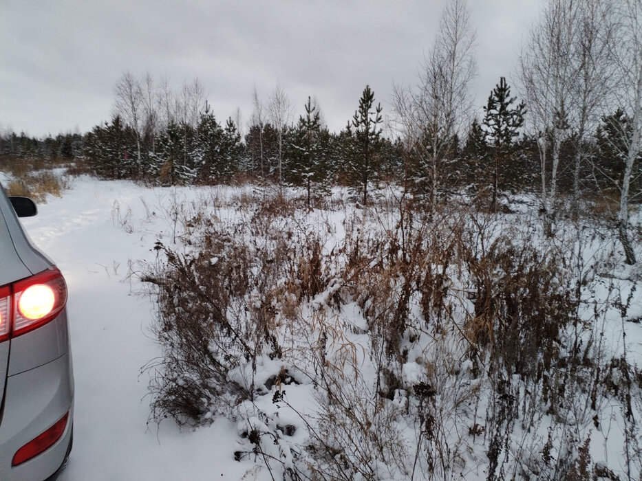 п. Арамиль, ул. Зелёные Просторы (городской округ Арамильский) - фото земельного участка (4)