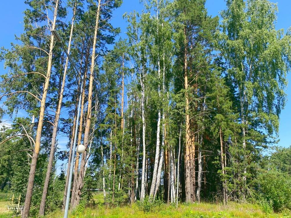 к.п. Заповедник, ул. Орёл, 2 (городской округ Сысертский, п. Габиевский) - фото земельного участка (1)