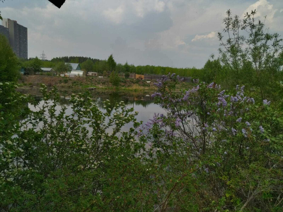 Екатеринбург, к/с Малина (Уктус) - фото сада (5)