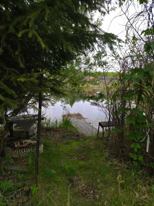 Екатеринбург, к/с Малина (Уктус) - фото сада (7)