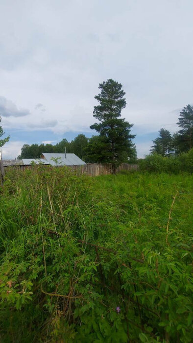 п. Ледянка, ул. Ромашковая, 16 (городской округ Ревда) - фото земельного участка (7)