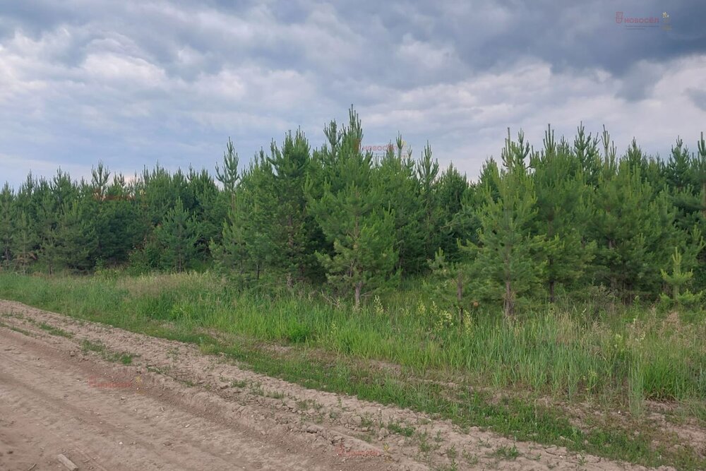 поселок городского типа Белоярский (городской округ Белоярский) - фото земельного участка (2)