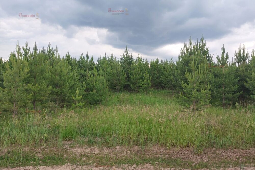 поселок городского типа Белоярский (городской округ Белоярский) - фото земельного участка (6)