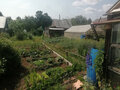 Продажа садового участка: г. Первоуральск, снт 56 (городской округ Первоуральск) - Фото 6