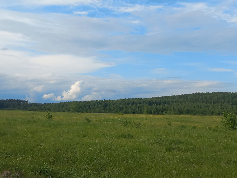 п. Шиловка (г.о. Березовский) (городской округ Березовский) - фото земельного участка (1)