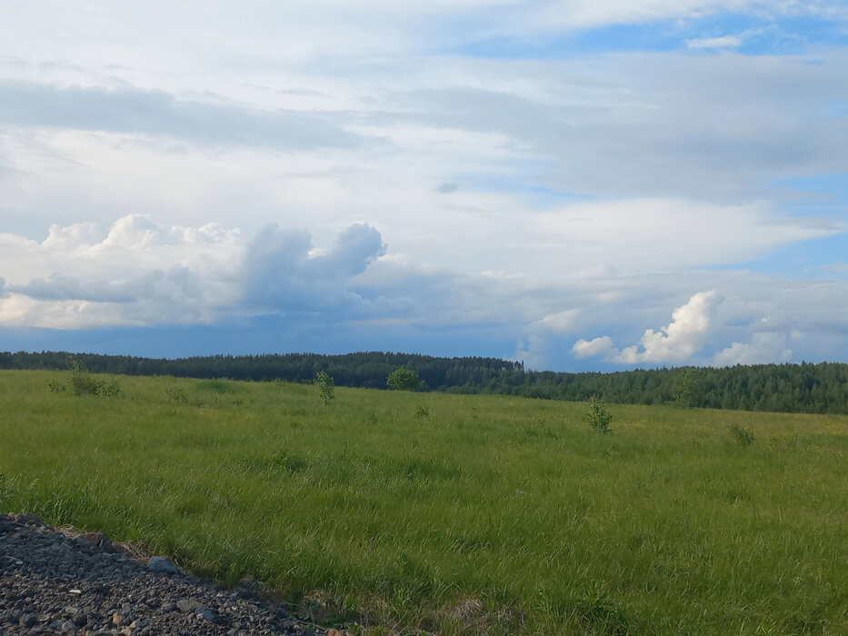 п. Шиловка (г.о. Березовский) (городской округ Березовский) - фото земельного участка (2)