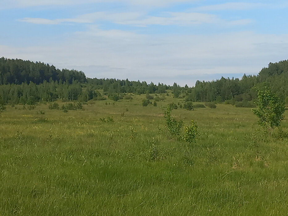 п. Шиловка (г.о. Березовский) (городской округ Березовский) - фото земельного участка (5)