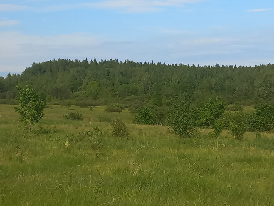 п. Шиловка (г.о. Березовский) (городской округ Березовский) - фото земельного участка (6)