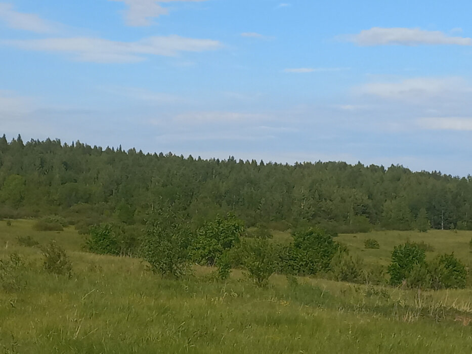 п. Шиловка (г.о. Березовский) (городской округ Березовский) - фото земельного участка (7)