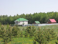 Продажа земельного участка: к.п. Добрый город, ул. Хрустальный, 6 (городской округ Полевской, с. Курганово) - Фото 7