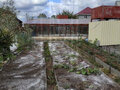 Продажа садового участка: Екатеринбург, Поле Чудес (Елизавет) - Фото 3