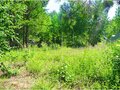 Продажа садового участка: с. Кунгурка, к/с Горняки (городской округ Ревда) - Фото 2