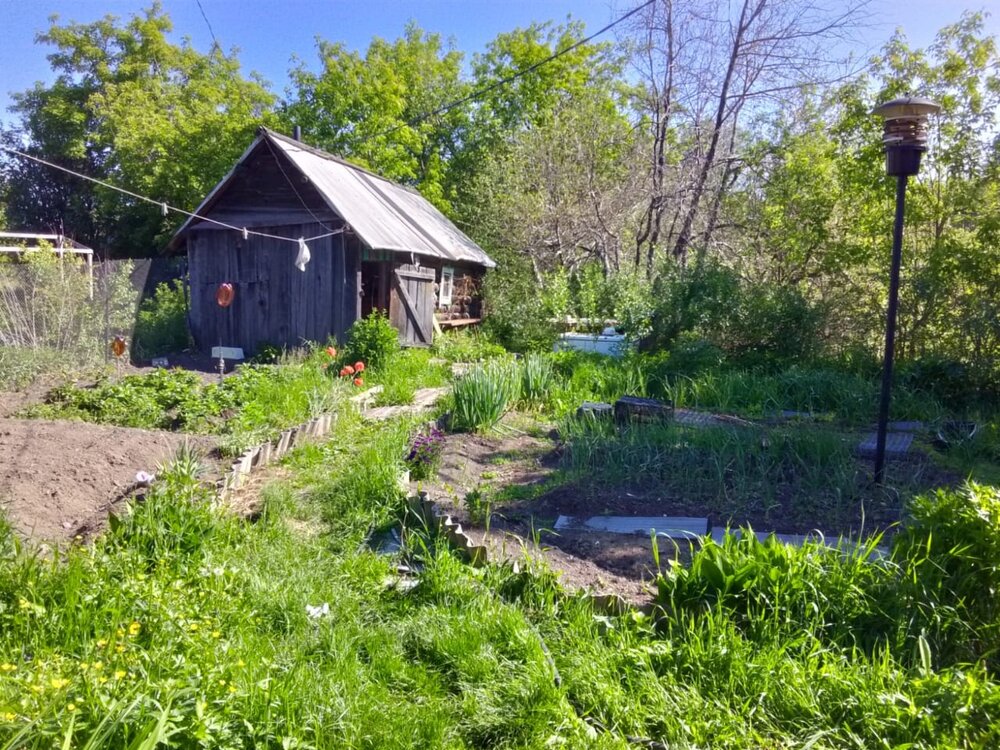 г. Нижняя Салда, ул. Титова, 29 (городской округ Нижняя Салда) - фото дома (4)