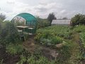 Продажа садового участка: г. Ревда, СТ Мечта-2 (городской округ Ревда) - Фото 3