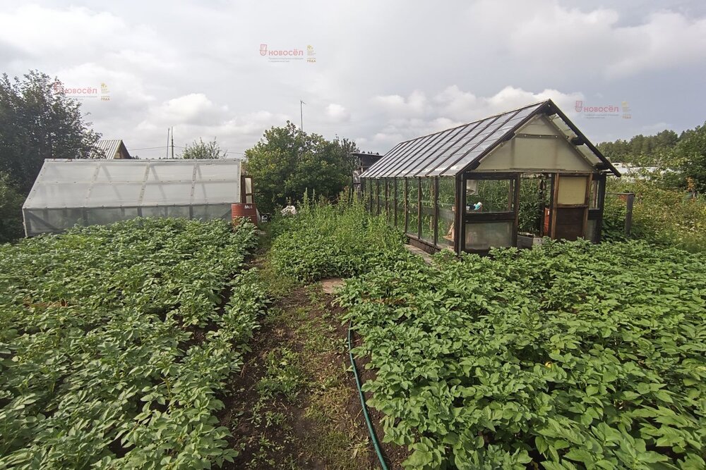 г. Ревда, СТ Мечта-2 (городской округ Ревда) - фото сада (4)
