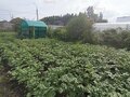 Продажа садового участка: г. Ревда, СТ Мечта-2 (городской округ Ревда) - Фото 5