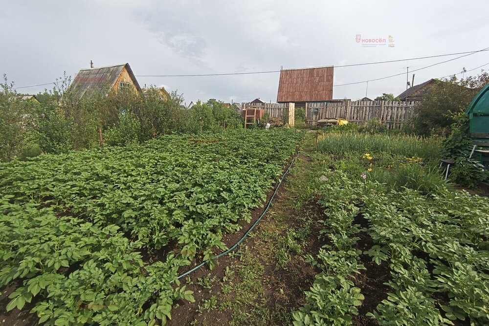 г. Ревда, СТ Мечта-2 (городской округ Ревда) - фото сада (6)